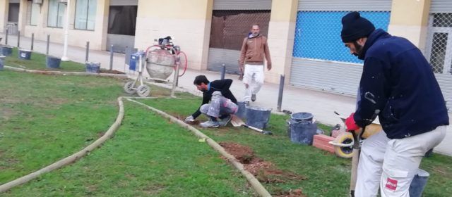 Benicarló habilitarà un parc caní amb obstacles, activitats d’agility i un pipi-can