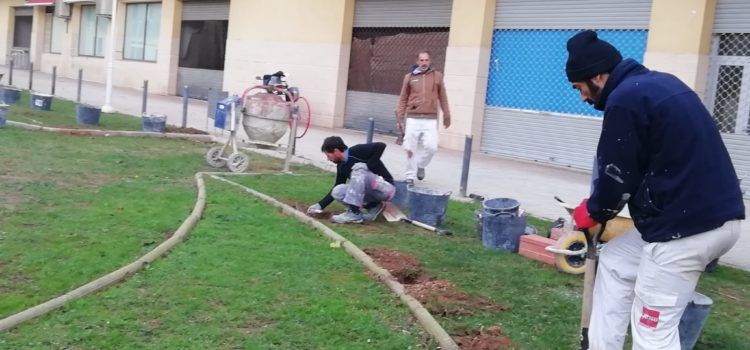 Benicarló habilitarà un parc caní amb obstacles, activitats d’agility i un pipi-can