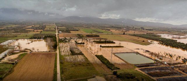 La inundació de la Foia d’Ulldecona, després de “Gloria”, a vista de “Pepo Dron”