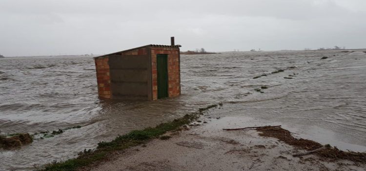 El COPATE s’adhereix a la Taula de Consens pel Delta que vol frenar-hi la seua regressió