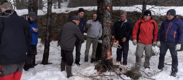 Vallibona recull entre la neu la malea i el pi per a Sant Antoni