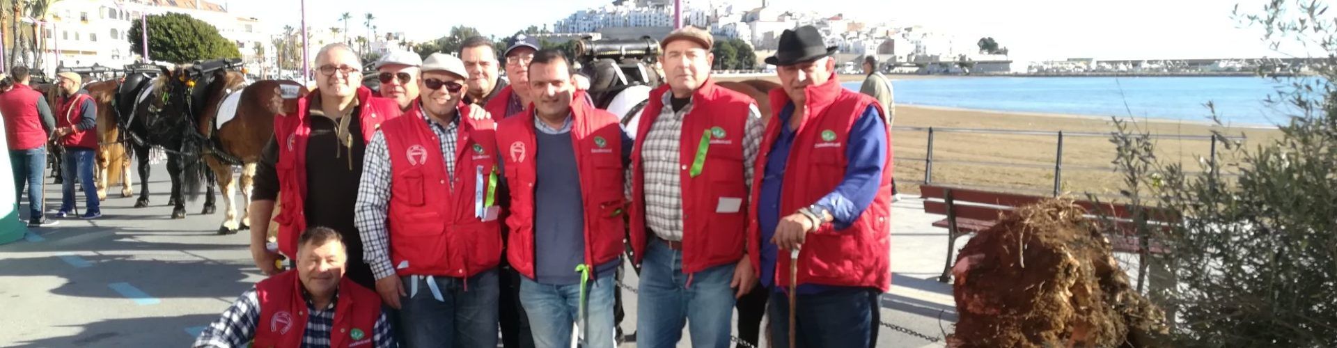 La “baixada de l’arbre” abre San Antonio Abad en Peñíscola