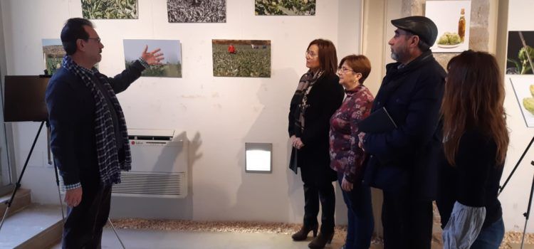 «Fotografies i Dibuixos de la Festa de la Carxofa» al MUCBE de Benicarló