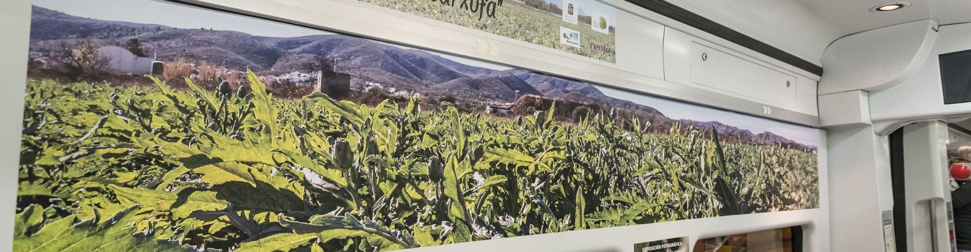 L’Ajuntament i Renfe presenten l’exposició fotogràfica ‘Benicarló, el Cor de la Carxofa’