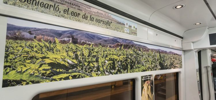 L’Ajuntament i Renfe presenten l’exposició fotogràfica ‘Benicarló, el Cor de la Carxofa’