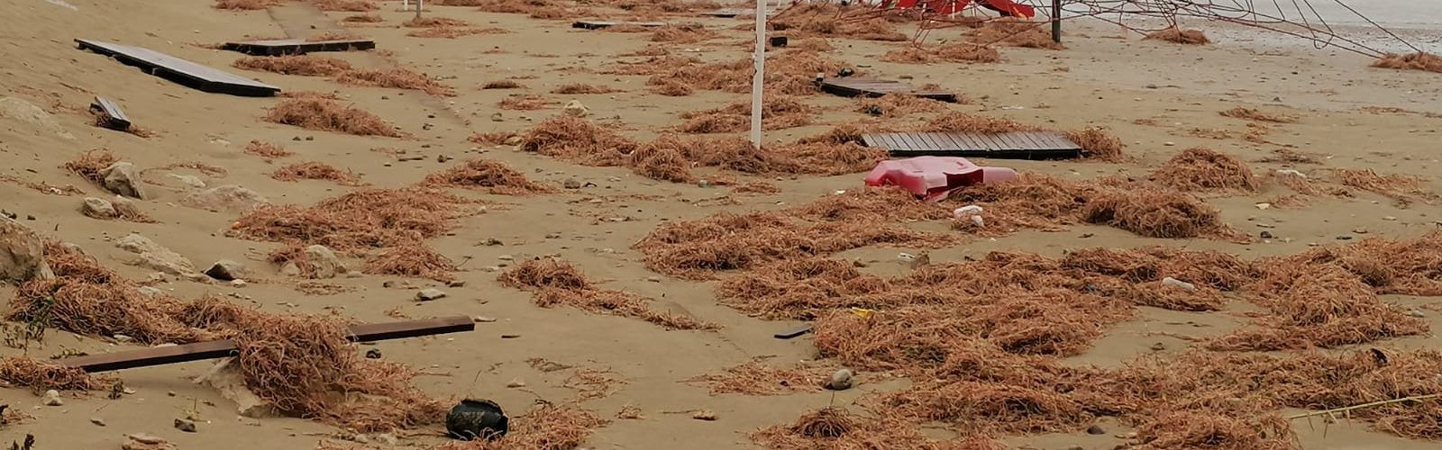 Benicarló fa una primera valoració dels danys provocats per la borrasca Glòria