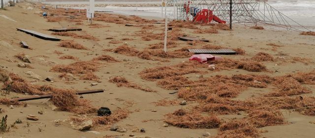 Benicarló fa una primera valoració dels danys provocats per la borrasca Glòria