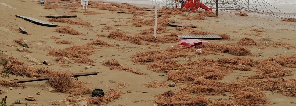 Benicarló fa una primera valoració dels danys provocats per la borrasca Glòria