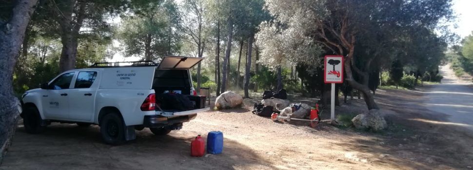 La Conselleria d’Agricultura neteja la Basseta del Bovalar de Benicarló