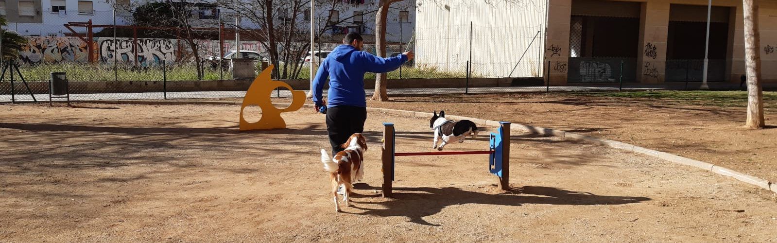 Finalitzen les obres del parc caní del carrer de Mariano Miquel i Polo a Benicarló