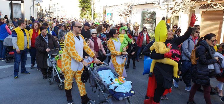Galeria de fotos de la desfilada infantil del Carnaval de Vinaròs