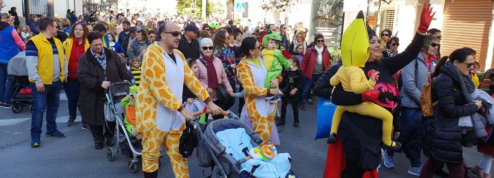 Galeria de fotos de la desfilada infantil del Carnaval de Vinaròs
