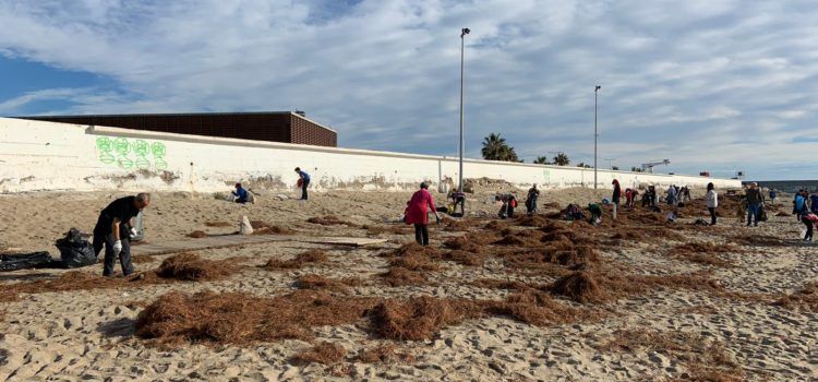 Més de 100 voluntaris recullen 1.500 quilos de residus al Morrongo de Benicarló