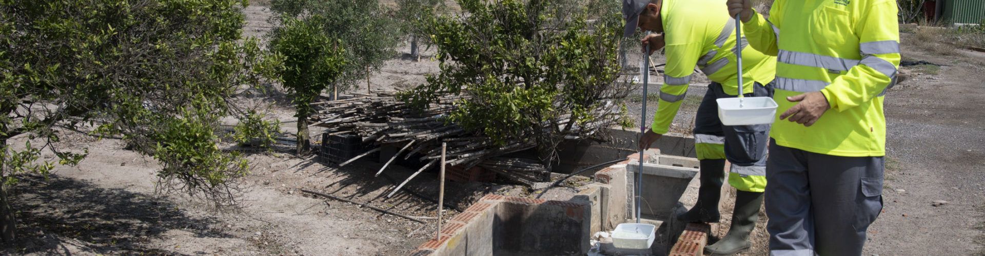 La Diputació millora el ‘Pla Provincial Contra els Mosquits’ en el qual en 2020 invertirà 1 milió d’euros