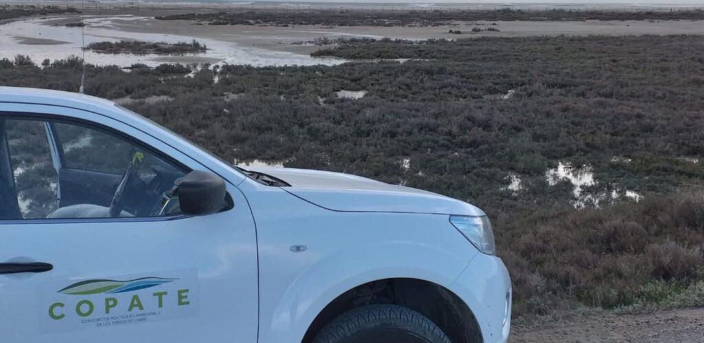 El COPATE comença la campanya de control del mosquit al delta de l’Ebre