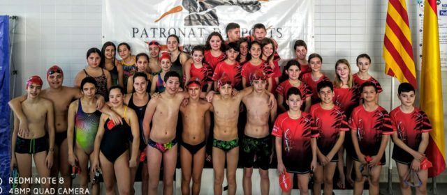 El Club Natació Vinaròs, en el Trofeu Ballester