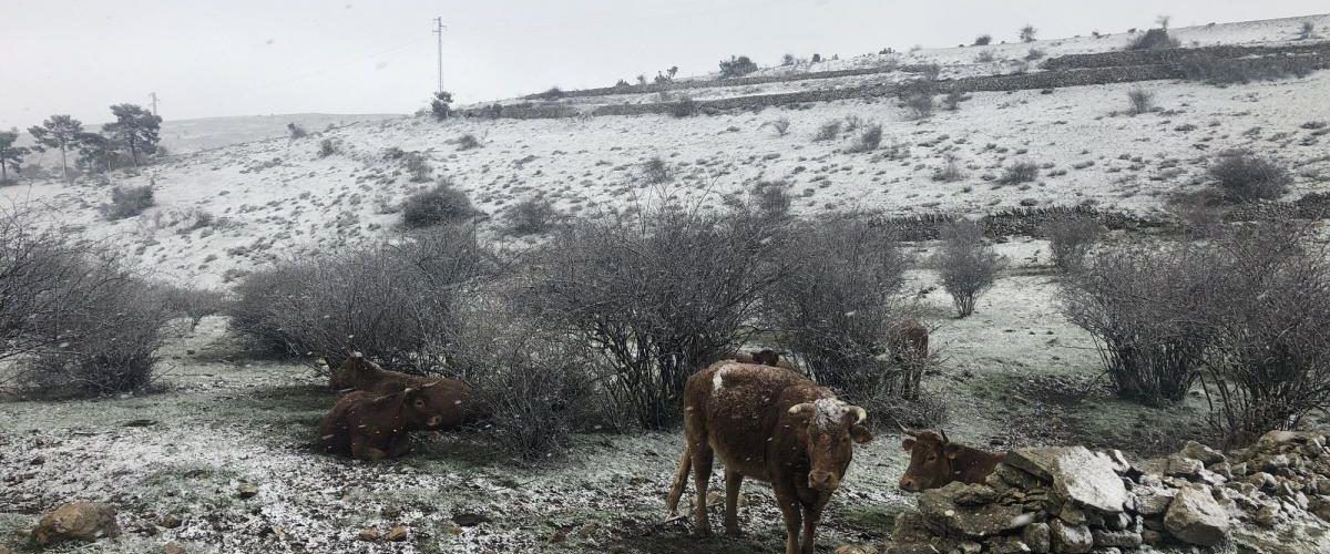 La nieve volvió a Els Ports