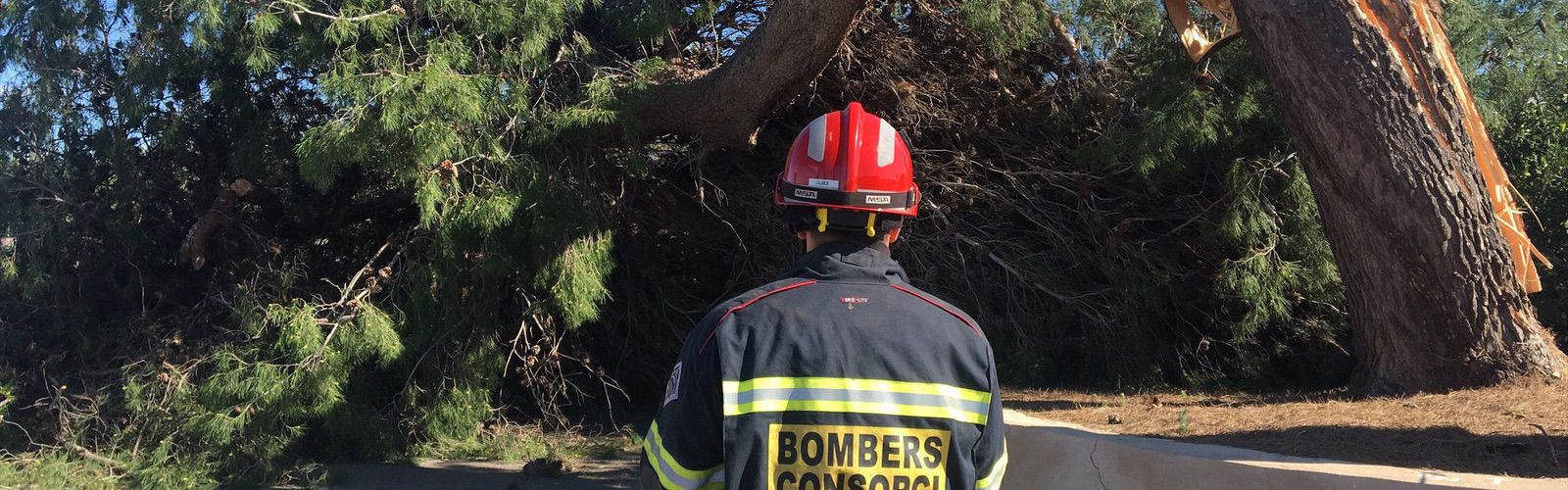 La Diputació mobilitza el Consorci de Bombers i efectua una trentena de serveis d’urgència per l’episodi de vent