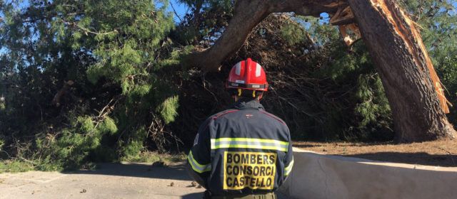 La Diputació mobilitza el Consorci de Bombers i efectua una trentena de serveis d’urgència per l’episodi de vent
