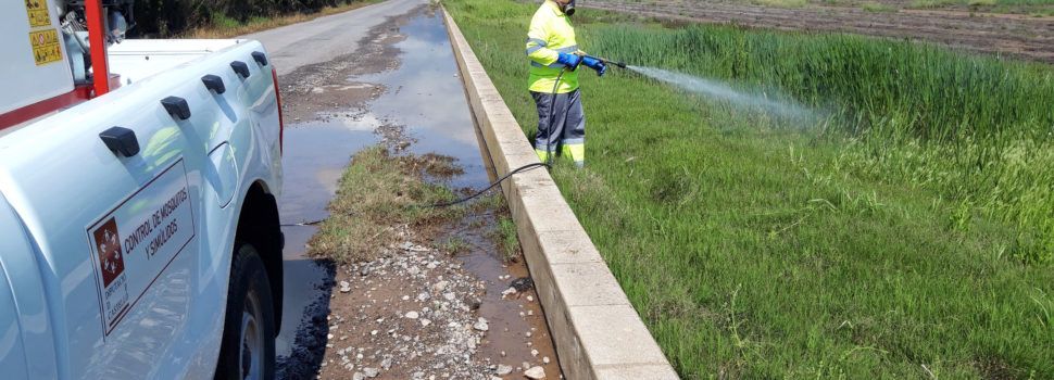 La Diputació aplica tractaments aeris anti mosquits en les zones de marjal de la província