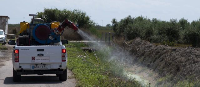 La Diputació intensifica els tractaments contra el mosquit tigre a la província de Castelló