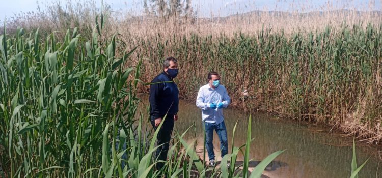 L’Ajuntament de Peníscola programa el dragat del sistema de séquies de la marjal per evitar inundacions
