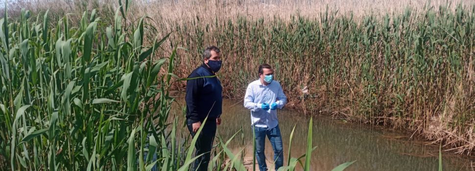 L’Ajuntament de Peníscola programa el dragat del sistema de séquies de la marjal per evitar inundacions