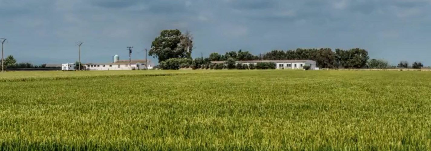 Vídeo: Lo Nostre Delta, per Albert Gavaldà