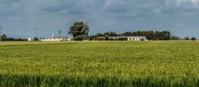 Vídeo: Lo Nostre Delta, per Albert Gavaldà