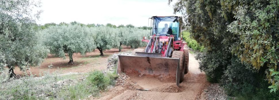 Maquinària de la Diputació realitza actuacions de millora en diversos camins del terme de Càlig