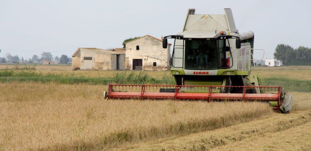 Les Terres de l’Ebre i Ponent patiran menys la crisi econòmica per la pandèmia, segons la URV
