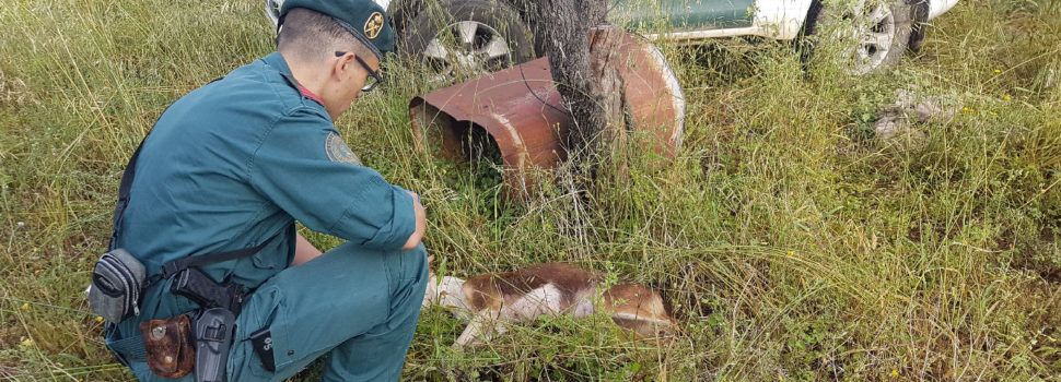 La Guardia Civil investiga a un vecino de Tortosa por un supuesto delito de maltrato animal