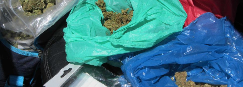 La Guardia Civil intercepta un vehículo que transportaba 2.000 gramos de cogollos de marihuana