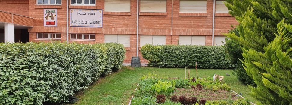 Los centros educativos dels Ports, Baix Maestrat y Terres de l’Ebre, en zonas fase 1, podrán reabrir este lunes para tareas administrativas y de desinfección