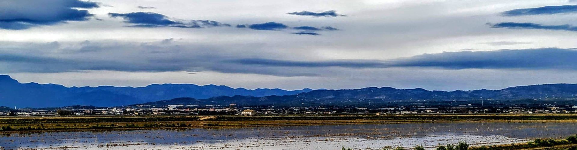 Fotos: Quan bufa el vent pel Delta de l’Ebre