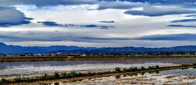 Fotos: Quan bufa el vent pel Delta de l’Ebre