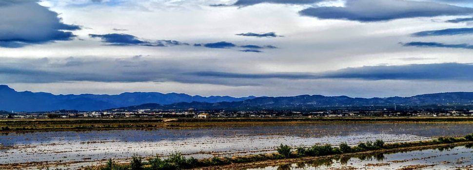 Fotos: Quan bufa el vent pel Delta de l’Ebre
