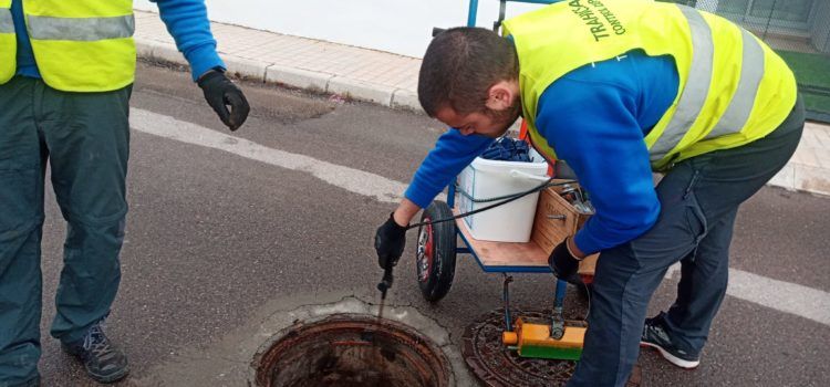 Peñíscola coordina los trabajos de la empresa especializadas en materia de control de plagas