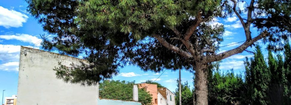 Racons d’Amposta en fotos