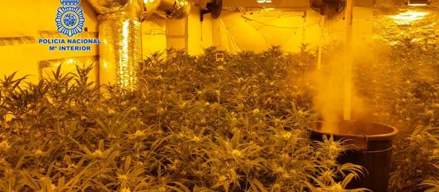 La Policía Nacional se incauta de 162 kilos de marihuana y detiene a 17 personas en Castellón, Ulldecona y otras localidades
