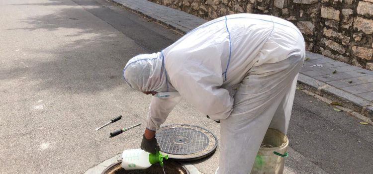 Santa Magdalena inicia la campanya de desratització i desinsectació