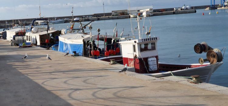 152 toneladas de basura extraídas en un año de las costas con colaboración de los puertos de Vinaròs, Benicarló y Peñíscola