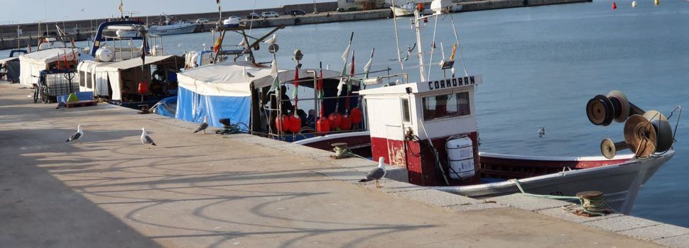 152 toneladas de basura extraídas en un año de las costas con colaboración de los puertos de Vinaròs, Benicarló y Peñíscola