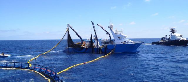 Balfegó “liquida” la campaña de atún rojo en 3 días por la abundancia de ejemplares