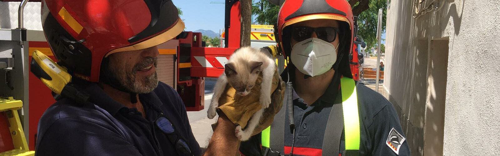 Rescaten un gat a Vinaròs que portava dos dies atrapat