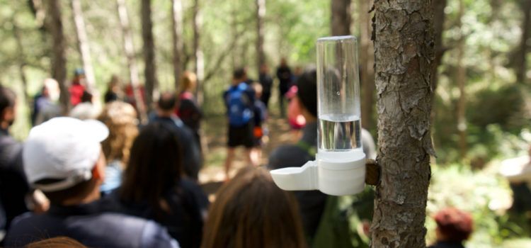 Els Ports, Natura i Art, el projecte d’art efímer de Lo Pati, es farà enguany de forma virtual a causa de la pandèmia