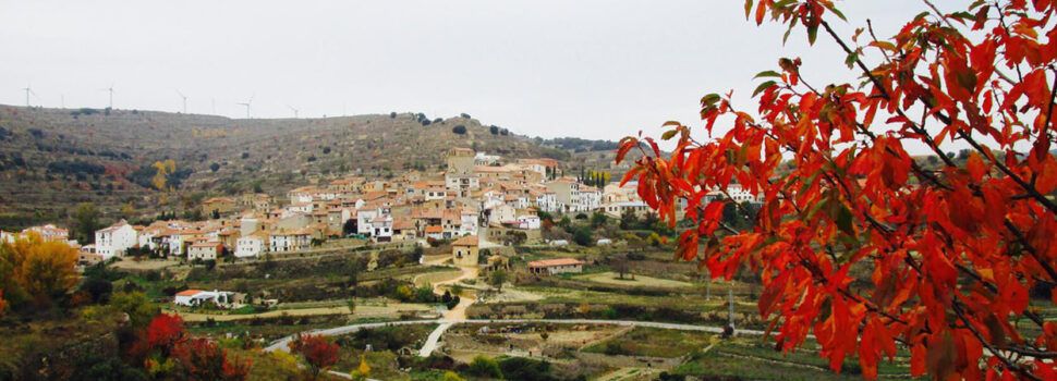 Portell suspèn les festes d’agost i no obrirà la piscina d’estiu