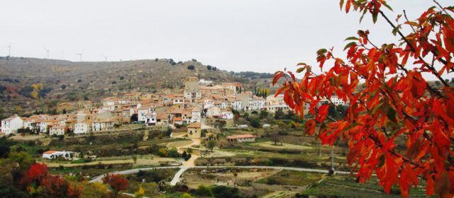 Portell elabora un Pla de Prevenció d’Incendis Forestals