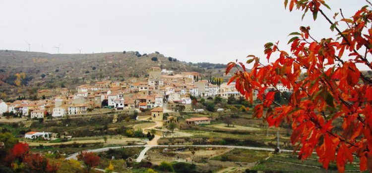 Portell elabora un Pla de Prevenció d’Incendis Forestals