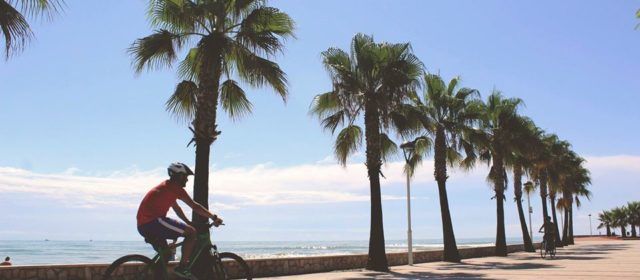 La platja Les Cases d’Alcanar-Marjal, 26 anys de Bandera Blava